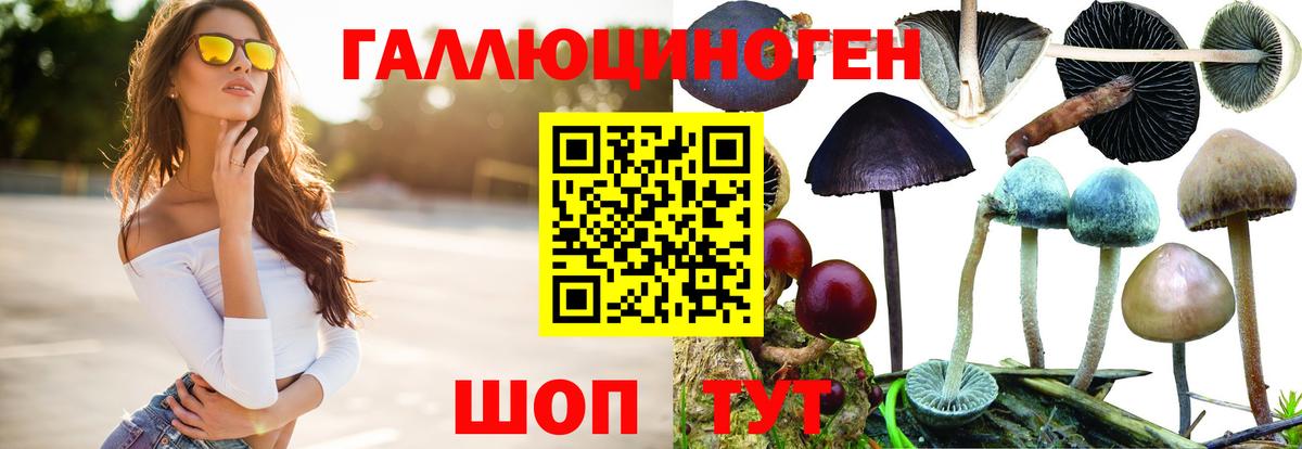 Приморско-Ахтарск  Псилоцибиновые грибы ЛСД  Вход с VPN 
